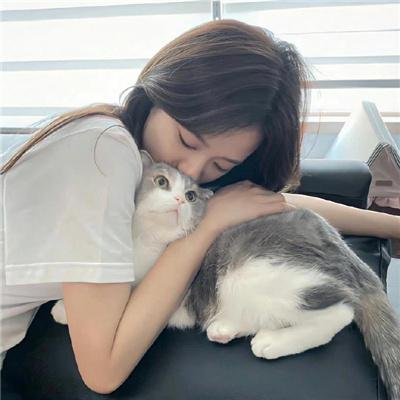 铳梦：战斗天使